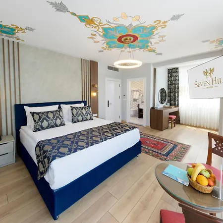 سيفين هيلز - فئة خاصة 4* اسطنبول