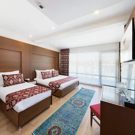 سيفين هيلز - فئة خاصة