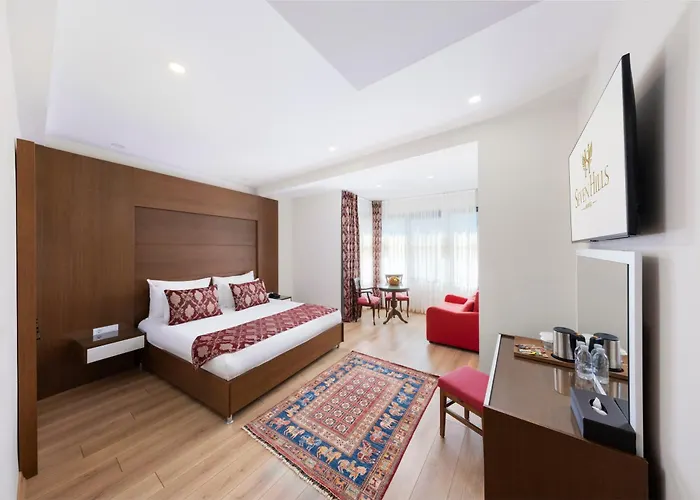 Seven Hills - Special Category Hotel Provincia di Istanbul