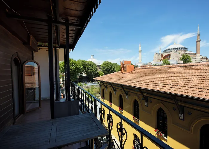 Seven Hills - Special Category